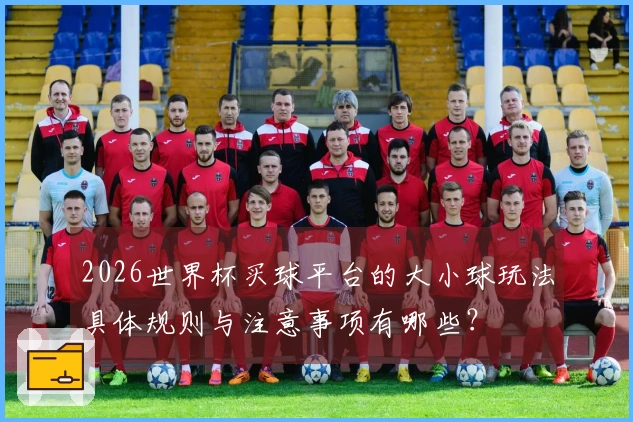 2026世界杯买球平台的大小球玩法具体规则与注意事项有哪些？