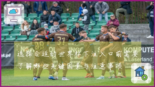 选择合适的世界杯下注入口前需要了解哪些关键因素与注意事项