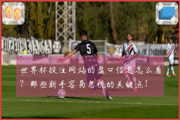 世界杯投注网站的盘口信息怎么看？那些新手容易忽视的关键点！