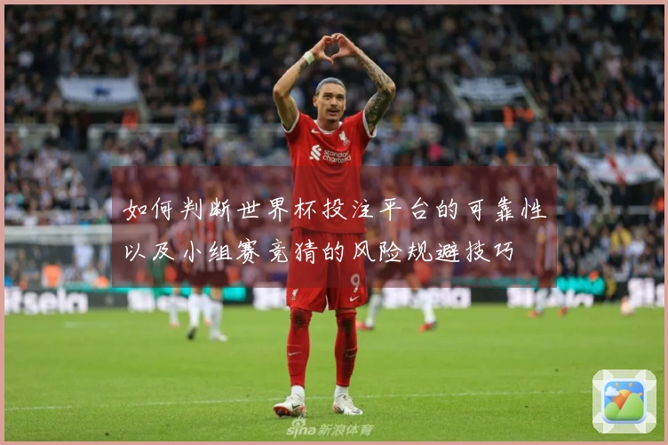 如何判断世界杯投注平台的可靠性以及小组赛竞猜的风险规避技巧