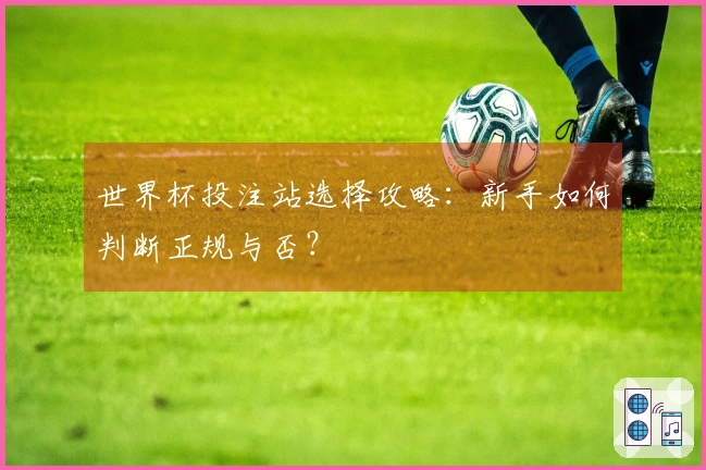 世界杯投注站选择攻略：新手如何判断正规与否？