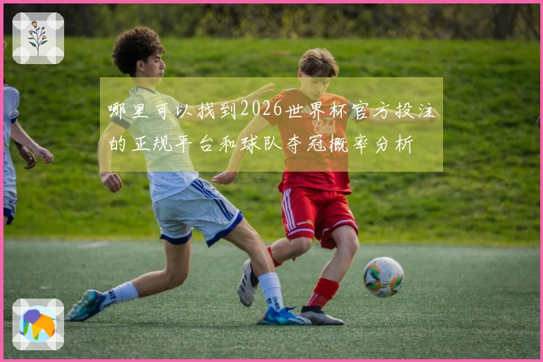 哪里可以找到2026世界杯官方投注的正规平台和球队夺冠概率分析