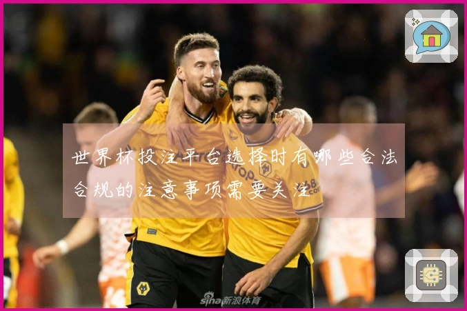 世界杯投注平台选择时有哪些合法合规的注意事项需要关注