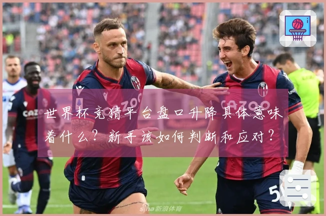 世界杯竞猜平台盘口升降具体意味着什么?新手该如何判断和应对?