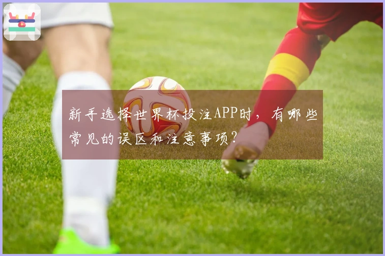 新手选择世界杯投注APP时，有哪些常见的误区和注意事项？