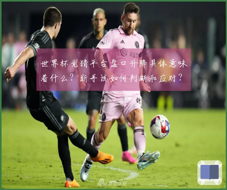 世界杯竞猜平台盘口升降具体意味着什么？新手该如何判断和应对？