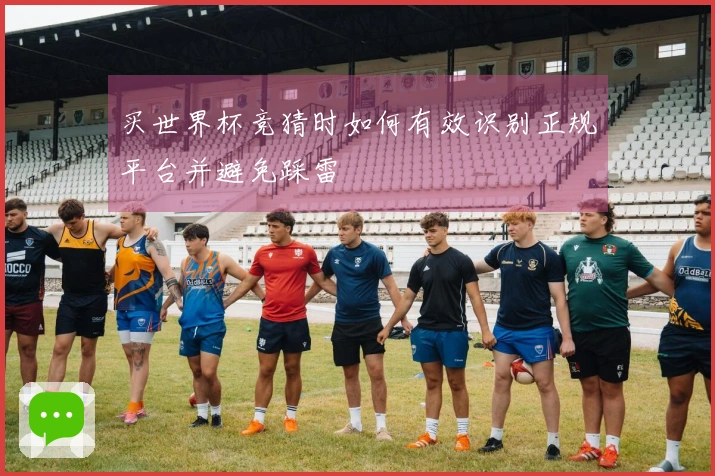 买世界杯竞猜时如何有效识别正规平台并避免踩雷