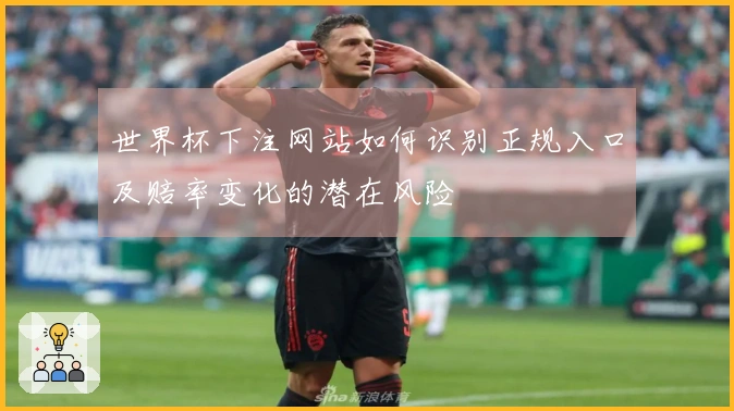 世界杯下注网站如何识别正规入口及赔率变化的潜在风险