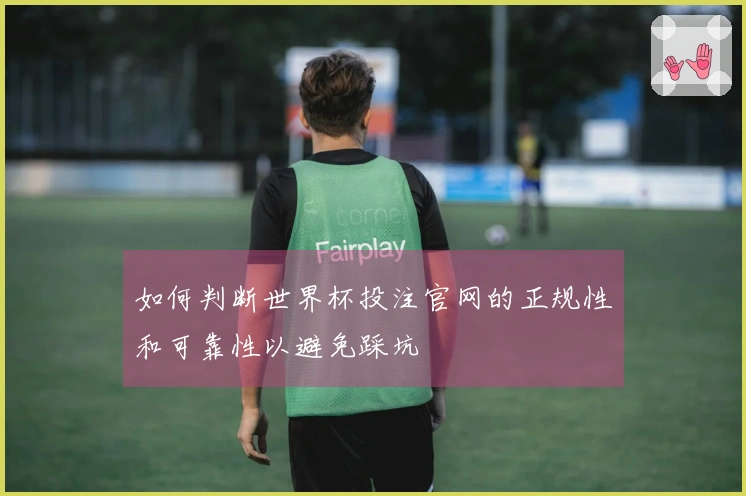 如何判断世界杯投注官网的正规性和可靠性以避免踩坑