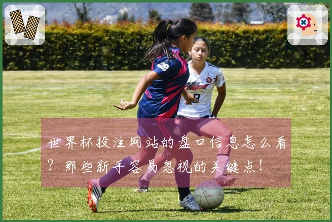 世界杯投注网站的盘口信息怎么看？那些新手容易忽视的关键点！