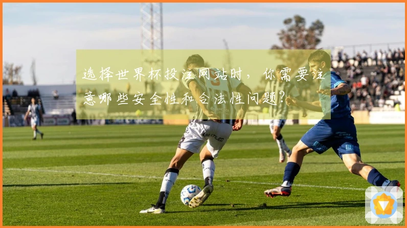 选择世界杯投注网站时，你需要注意哪些安全性和合法性问题？