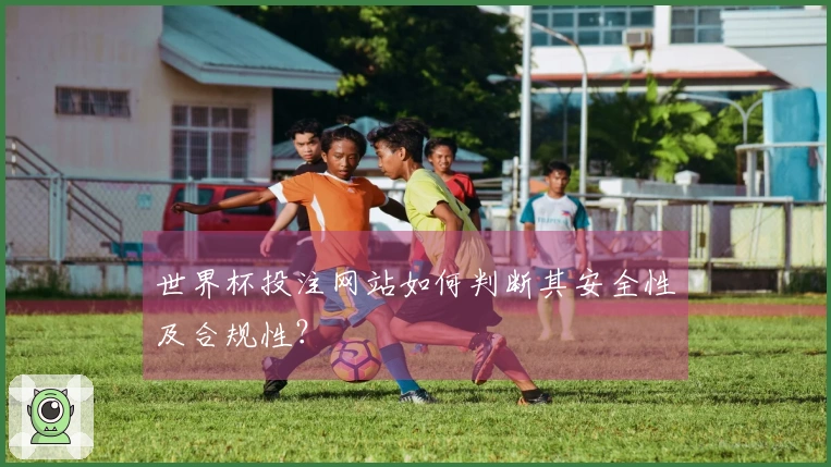 世界杯投注网站如何判断其安全性及合规性？