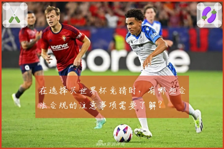 在选择买世界杯竞猜时,有哪些合法合规的注意事项需要了解?