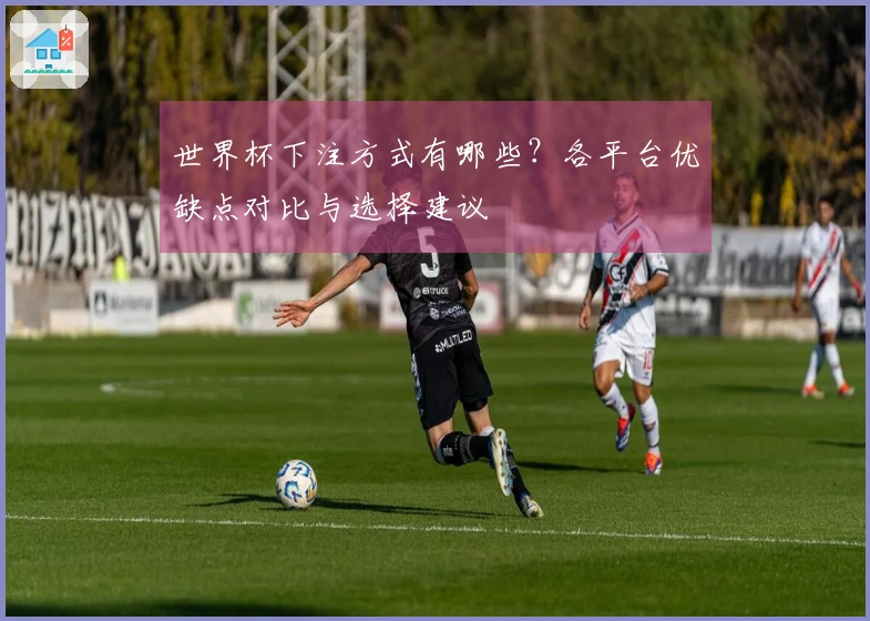 世界杯下注方式有哪些？各平台优缺点对比与选择建议