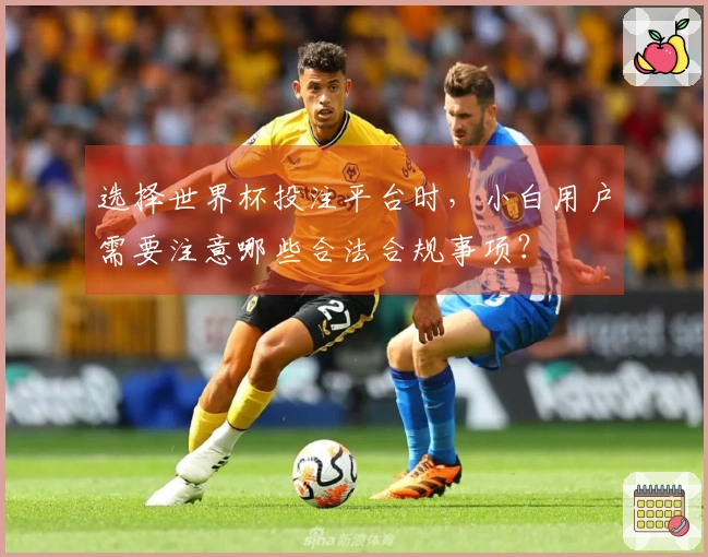 选择世界杯投注平台时，小白用户需要注意哪些合法合规事项？