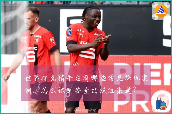 世界杯竞猜平台有哪些常见踩坑案例，怎么识别安全的投注渠道？