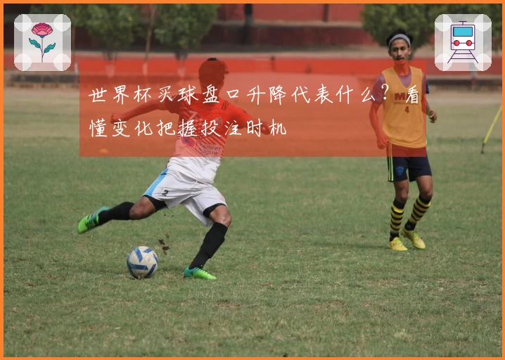 世界杯买球盘口升降代表什么？看懂变化把握投注时机