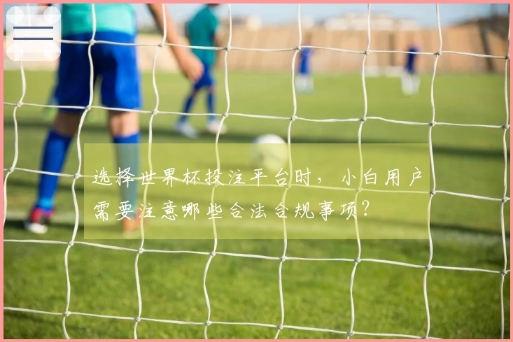 选择世界杯投注平台时，小白用户需要注意哪些合法合规事项？