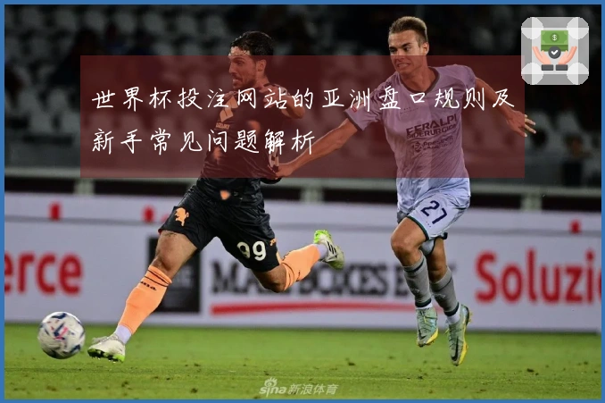 世界杯投注网站的亚洲盘口规则及新手常见问题解析