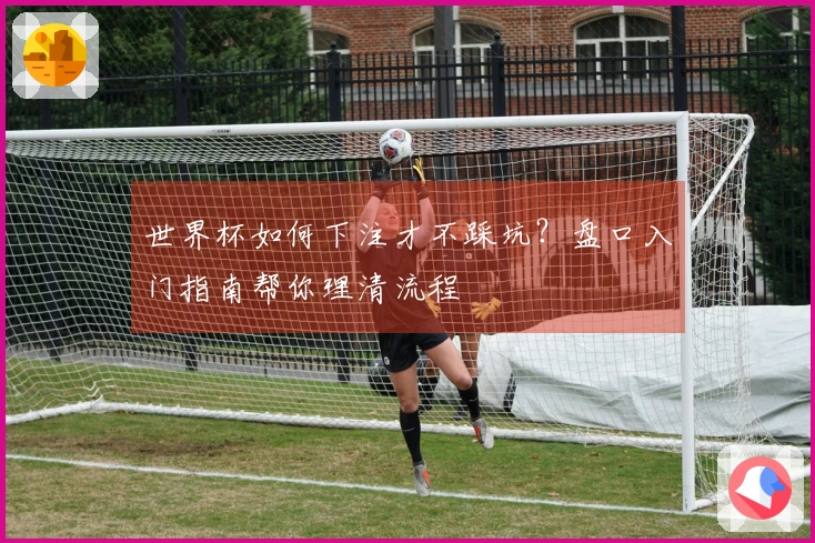 世界杯如何下注才不踩坑？盘口入门指南帮你理清流程