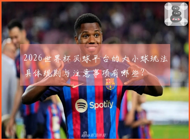 2026世界杯买球平台的大小球玩法具体规则与注意事项有哪些？