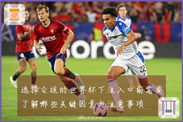 选择合适的世界杯下注入口前需要了解哪些关键因素与注意事项