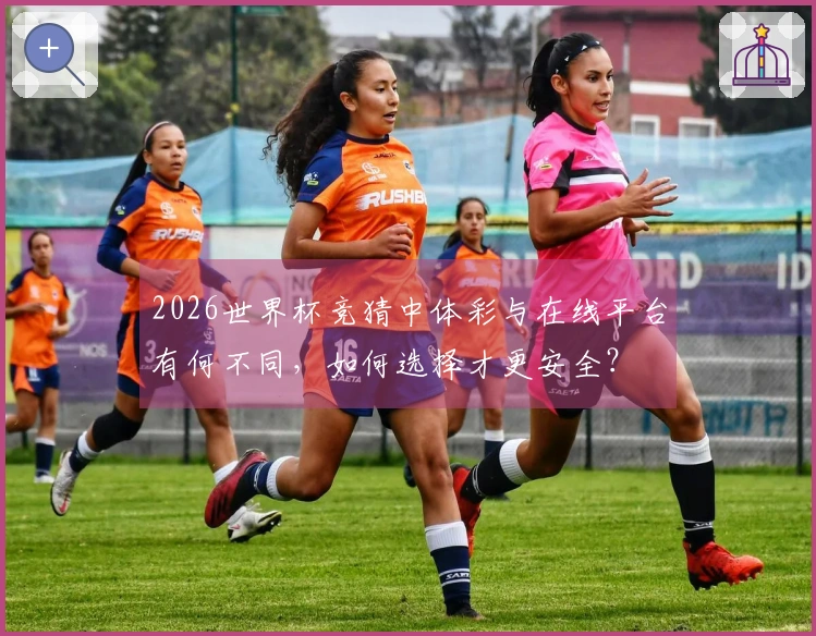 2026世界杯竞猜中体彩与在线平台有何不同，如何选择才更安全？