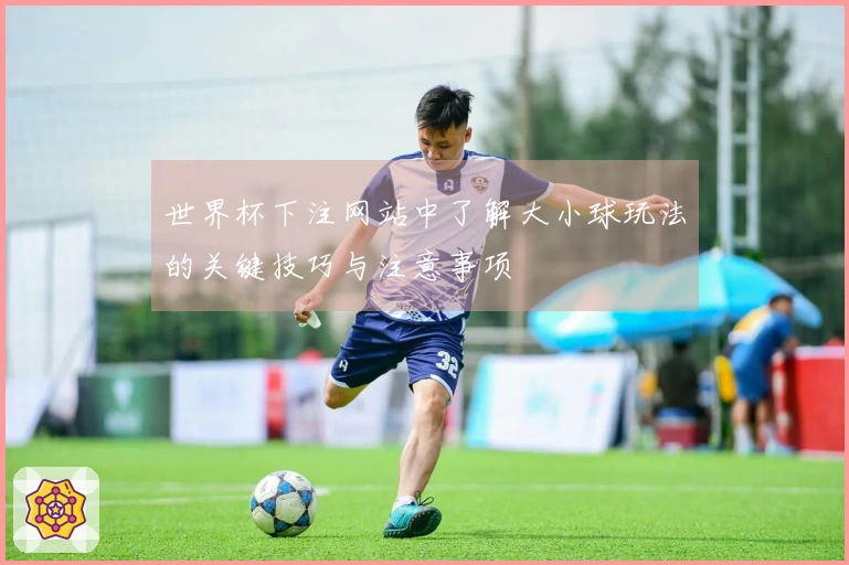 世界杯下注网站中了解大小球玩法的关键技巧与注意事项