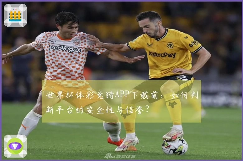 世界杯体彩竞猜APP下载前，如何判断平台的安全性与信誉？