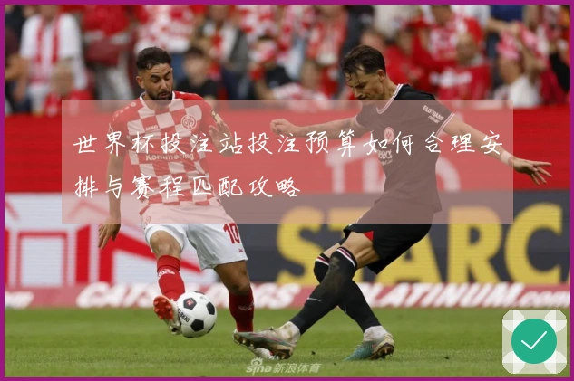 世界杯投注站投注预算如何合理安排与赛程匹配攻略