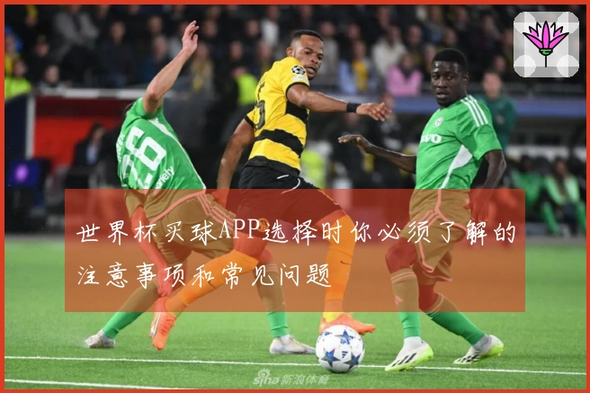 世界杯买球APP选择时你必须了解的注意事项和常见问题