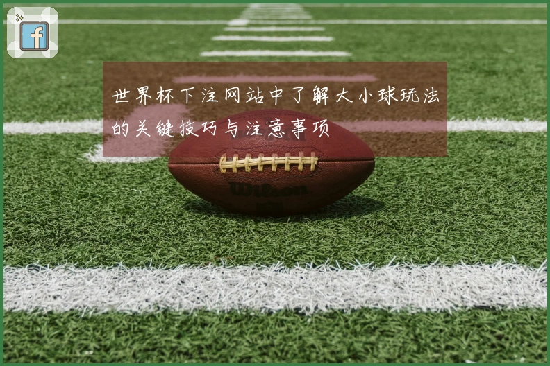 世界杯下注网站中了解大小球玩法的关键技巧与注意事项