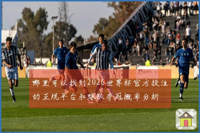 哪里可以找到2026世界杯官方投注的正规平台和球队夺冠概率分析