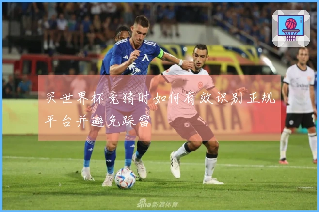 买世界杯竞猜时如何有效识别正规平台并避免踩雷