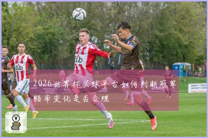 2026世界杯买球平台如何判断冠军赔率变化是否合理
