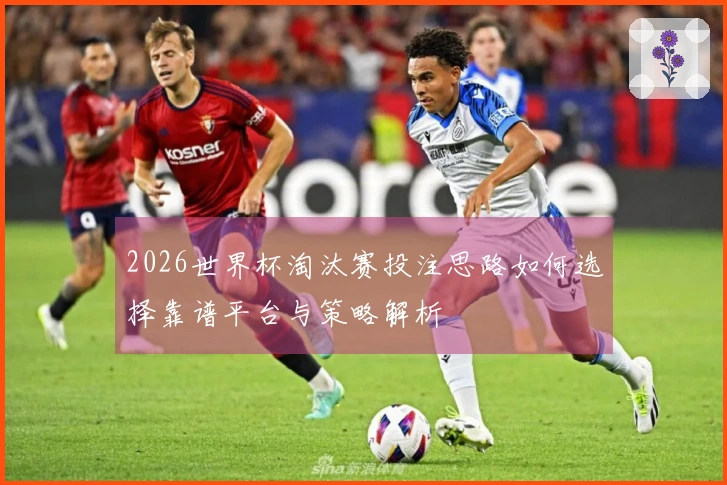2026世界杯淘汰赛投注思路如何选择靠谱平台与策略解析