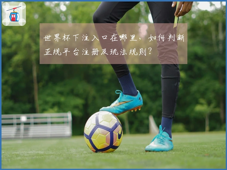 世界杯下注入口在哪里,如何判断正规平台注册及玩法规则?